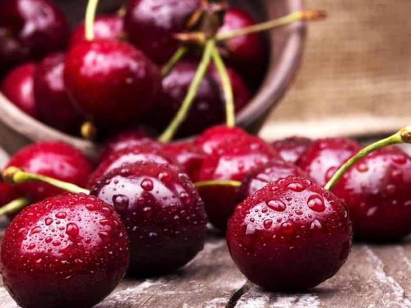 Вишня купить саженцы из питомника в Бердянске